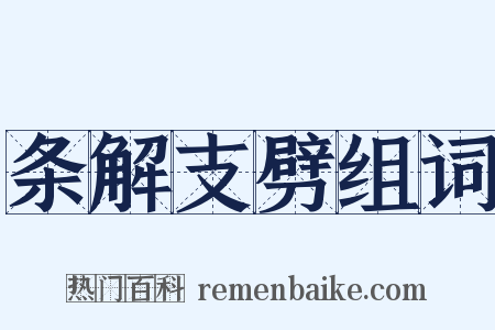 条解支劈组词是什么意思的图片